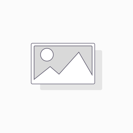 Fast Hosting Lightning